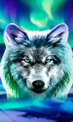 Wolf Fang - Northern Spirits